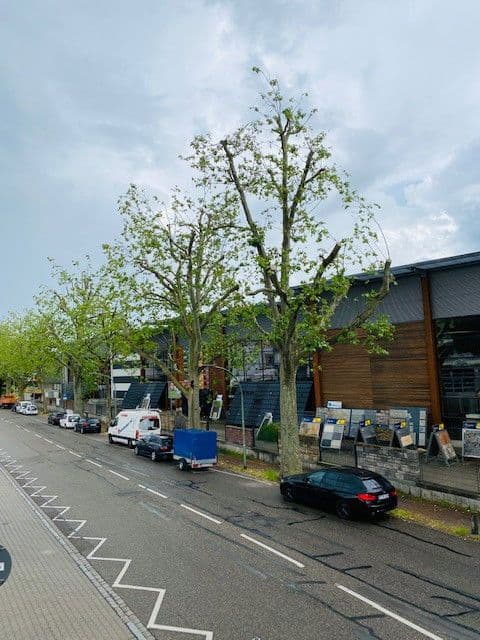 Pronájem bytu 3+1 65 m², Blücherstraße 20, Pforzheim, Bádensko-Württembersko Pronájem bytu 3+1 65 m², Blücherstraße 20, Pforzheim, Bádensko-Württembersko