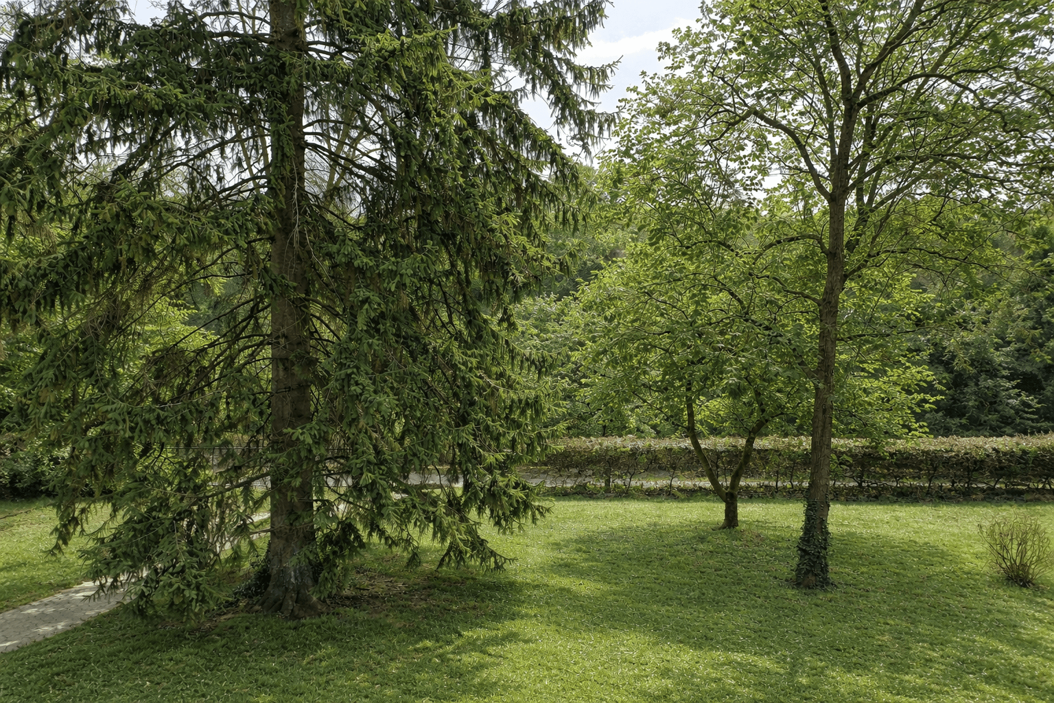 Prodej bytu 2+kk 80 m², Sonnenberger Str. 73, Wiesbaden, Hessen Prodej bytu 2+kk 80 m², Sonnenberger Str. 73, Wiesbaden, Hessen