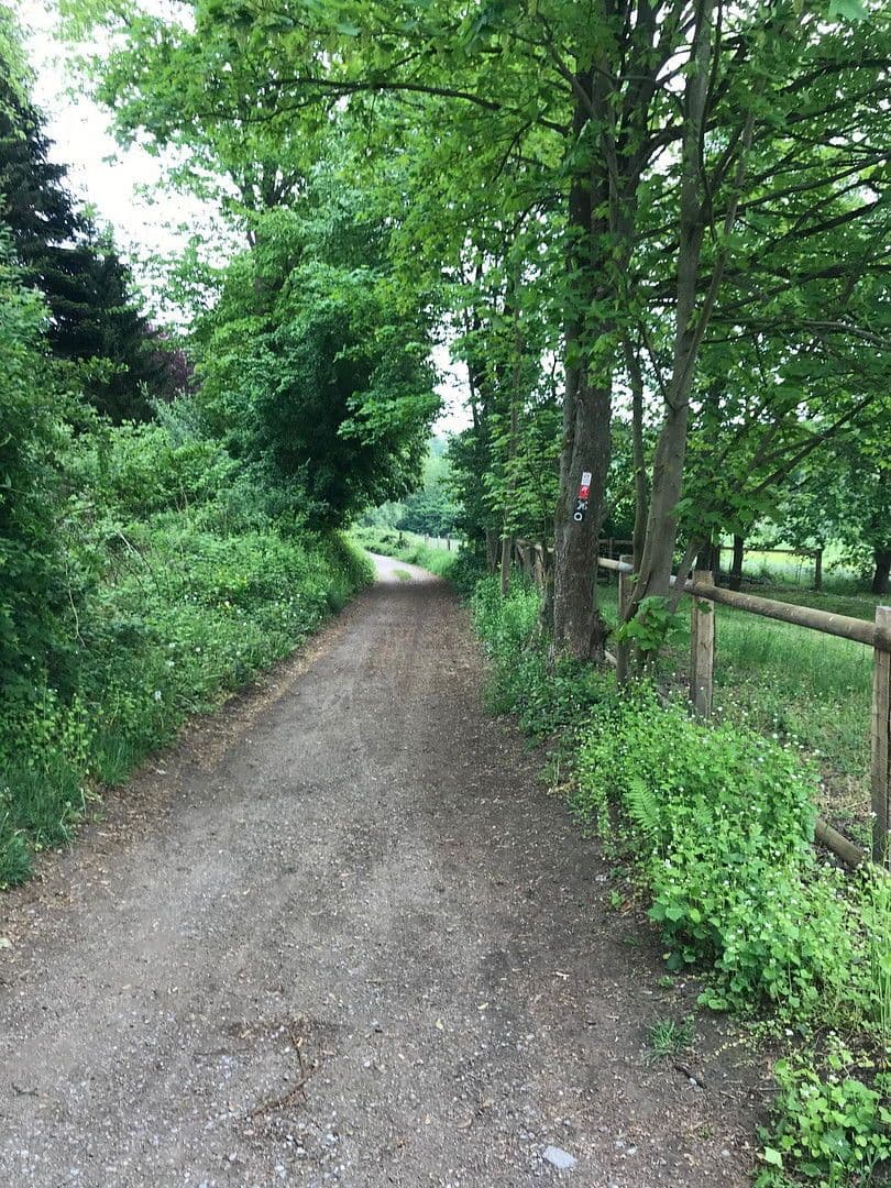 Pronájem bytu 2+kk 62 m², Haan, Severní Porýní-Vestfálsko Pronájem bytu 2+kk 62 m², Haan, Severní Porýní-Vestfálsko