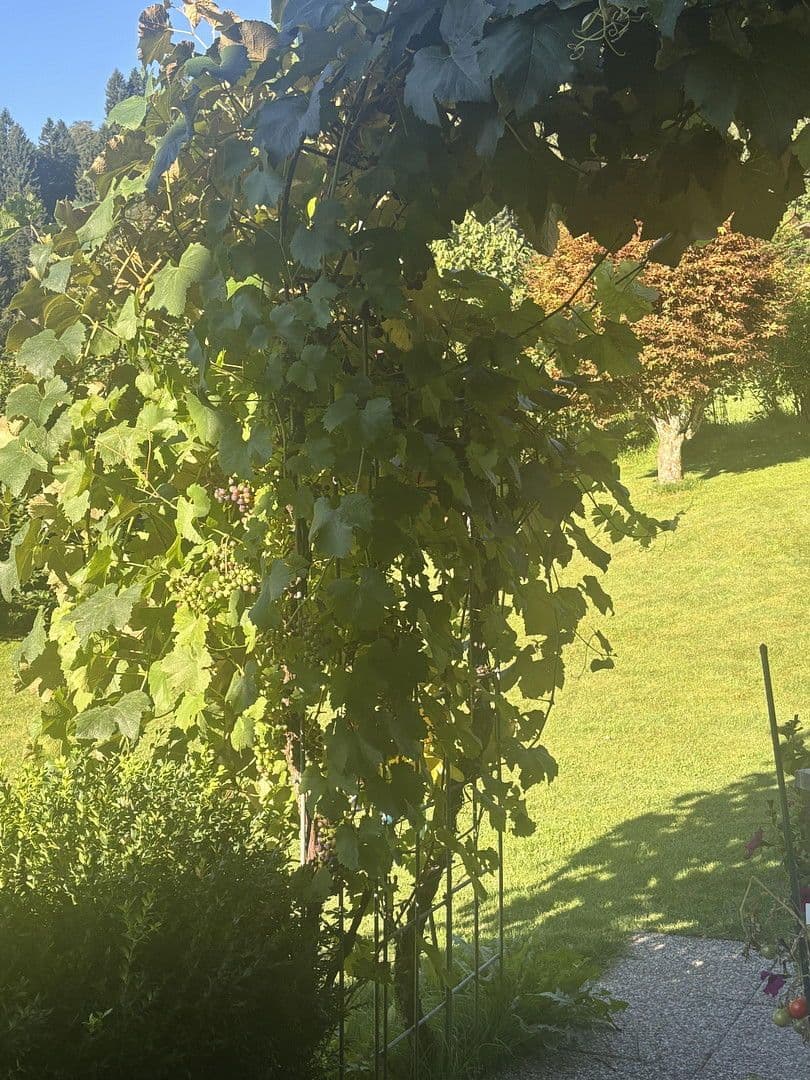 Pronájem bytu 4+1 120 m², Kupfstattgasse 18, Jochberg, Tyrolsko Pronájem bytu 4+1 120 m², Kupfstattgasse 18, Jochberg, Tyrolsko