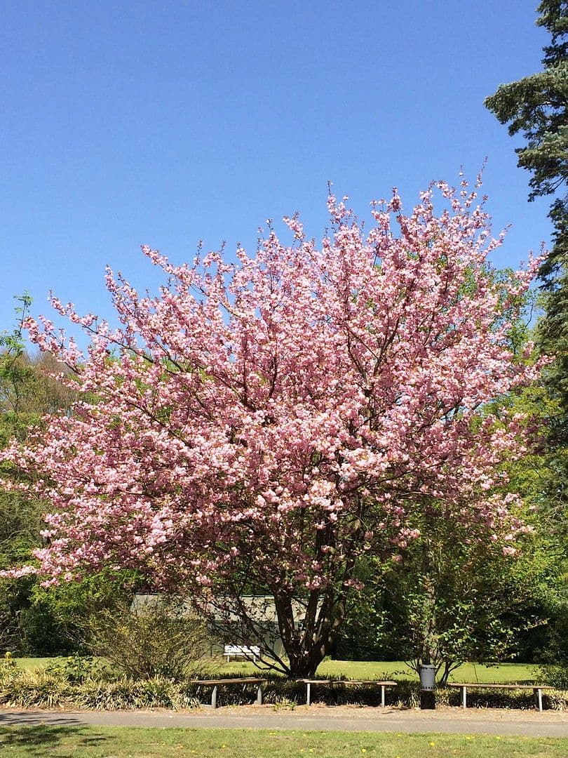 Pronájem bytu 1+1 25 m², Hamburg-Mitte, Hamburg Pronájem bytu 1+1 25 m², Hamburg-Mitte, Hamburg