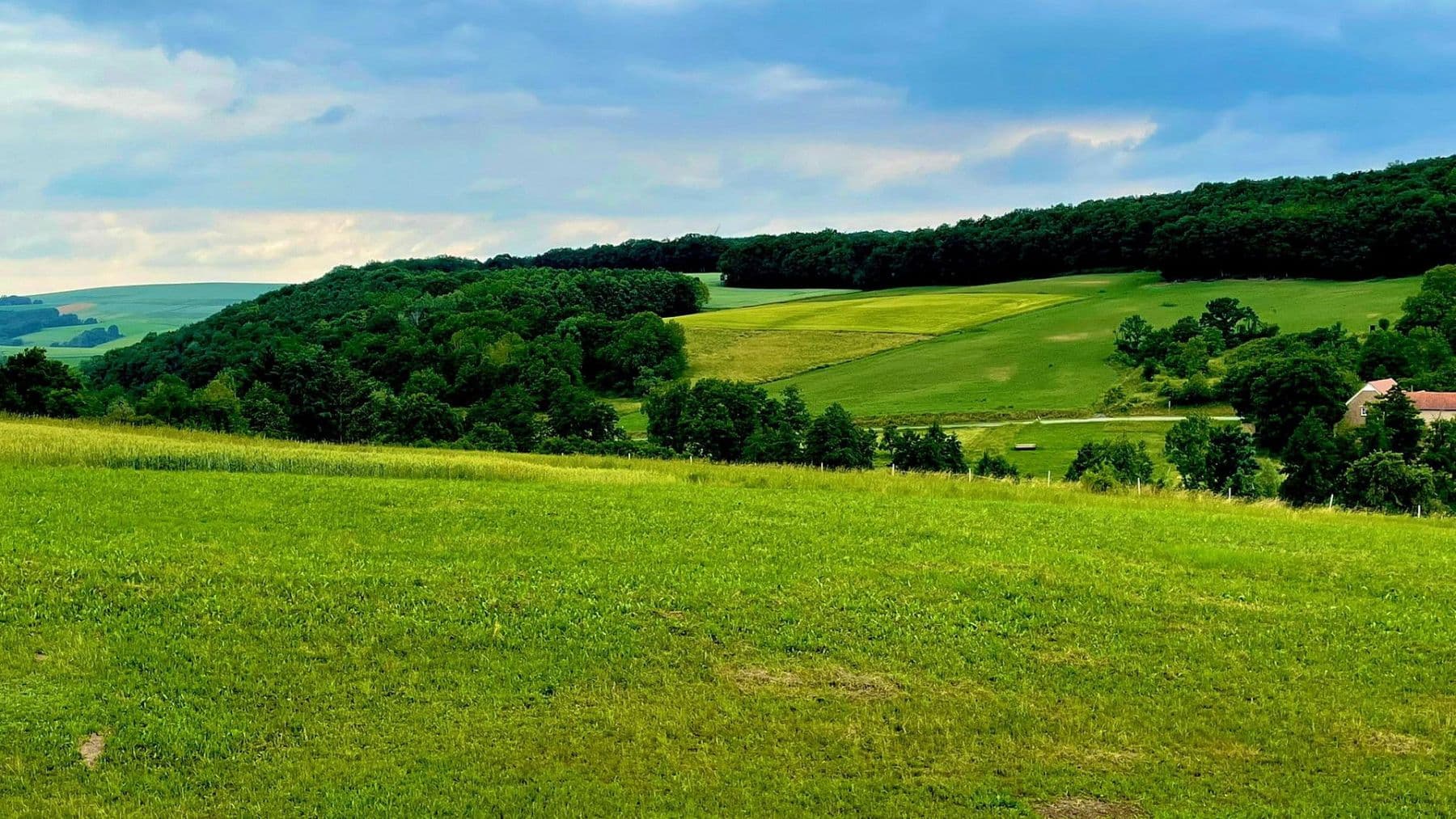 Prodej pozemku 561 m², Turnhallenstraße 6, Ransweiler, Porýní-Falc Prodej pozemku 561 m², Turnhallenstraße 6, Ransweiler, Porýní-Falc