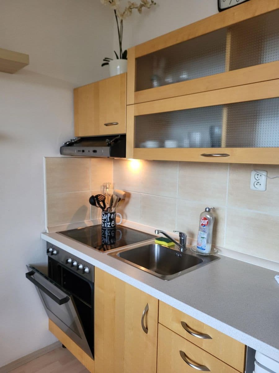 Pronájem bytu 1+kk 30 m², Chalabalova, Brno, Jihomoravský kraj Pronájem bytu 1+kk 30 m², Chalabalova, Brno, Jihomoravský kraj