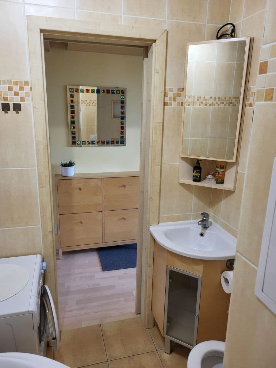 Pronájem bytu 1+kk 30 m², Chalabalova, Brno, Jihomoravský kraj Pronájem bytu 1+kk 30 m², Chalabalova, Brno, Jihomoravský kraj