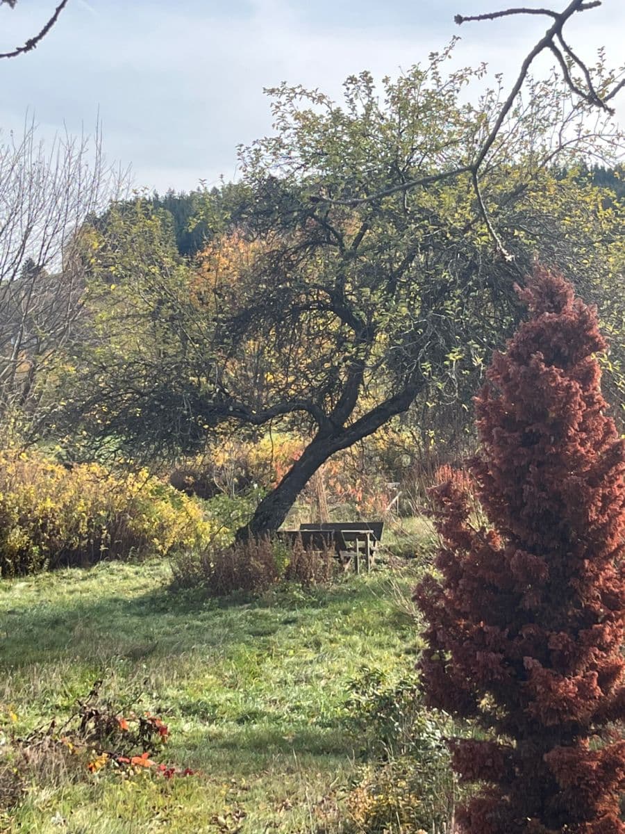 Prodej domu 104 m², pozemek 4.412 m², Strážov, Plzeňský kraj Prodej domu 104 m², pozemek 4.412 m², Strážov, Plzeňský kraj