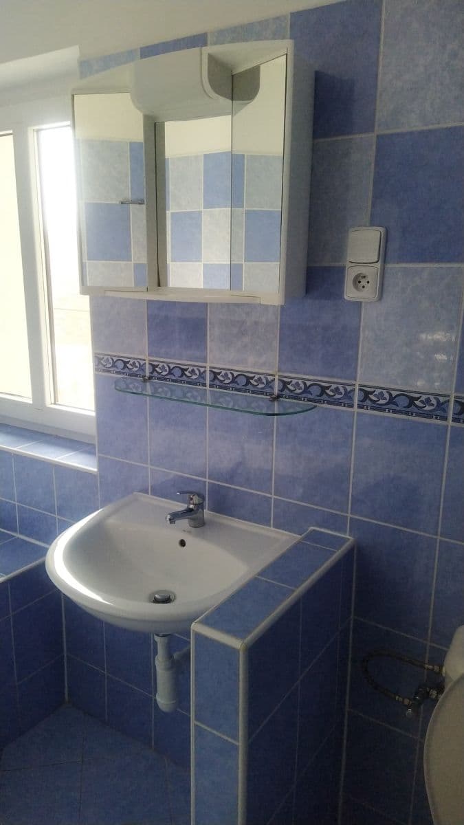 Pronájem bytu 2+kk 42 m², Puškinova, Liberec, Liberecký kraj Pronájem bytu 2+kk 42 m², Puškinova, Liberec, Liberecký kraj