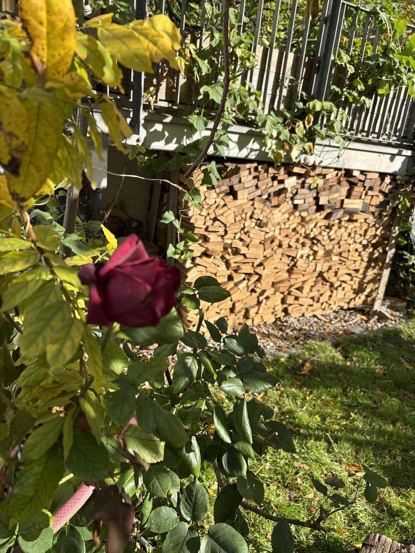 Prodej domu 230 m², pozemek 230 m², Friedrich-Pecht-Weg, 10, Konstanz, Bádensko-Württembersko Prodej domu 230 m², pozemek 230 m², Friedrich-Pecht-Weg, 10, Konstanz, Bádensko-Württembersko