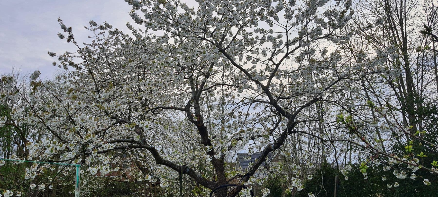 Prodej domu 140 m², pozemek 1.604 m², Wurster Nordseeküste, Dolní Sasko Prodej domu 140 m², pozemek 1.604 m², Wurster Nordseeküste, Dolní Sasko