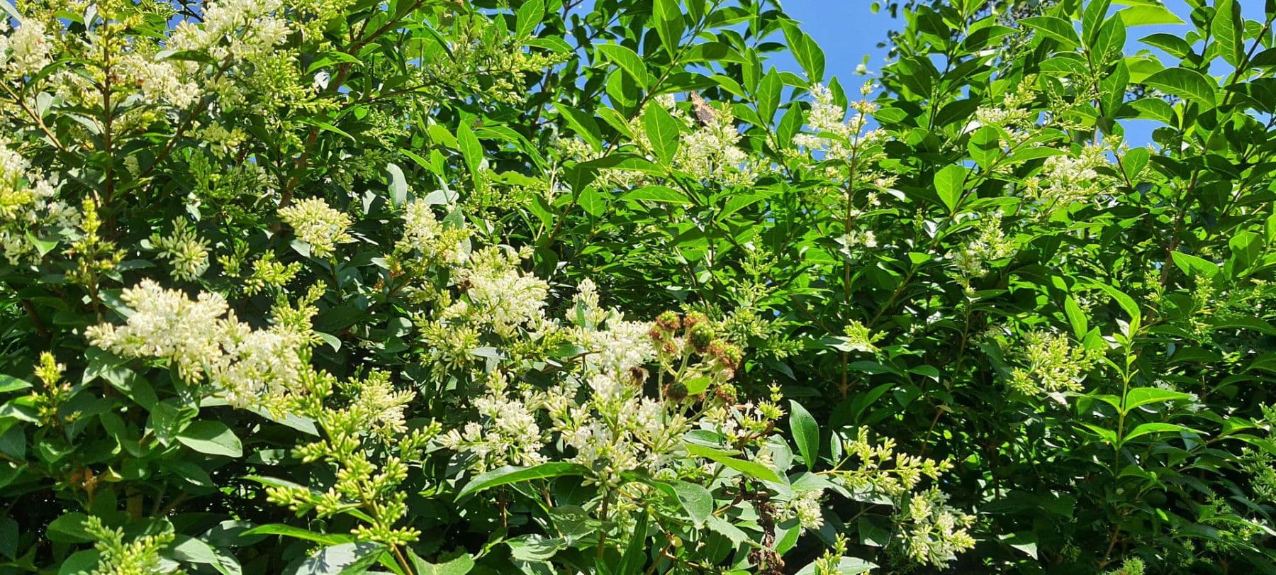 Prodej domu 140 m², pozemek 1.604 m², Wurster Nordseeküste, Dolní Sasko Prodej domu 140 m², pozemek 1.604 m², Wurster Nordseeküste, Dolní Sasko