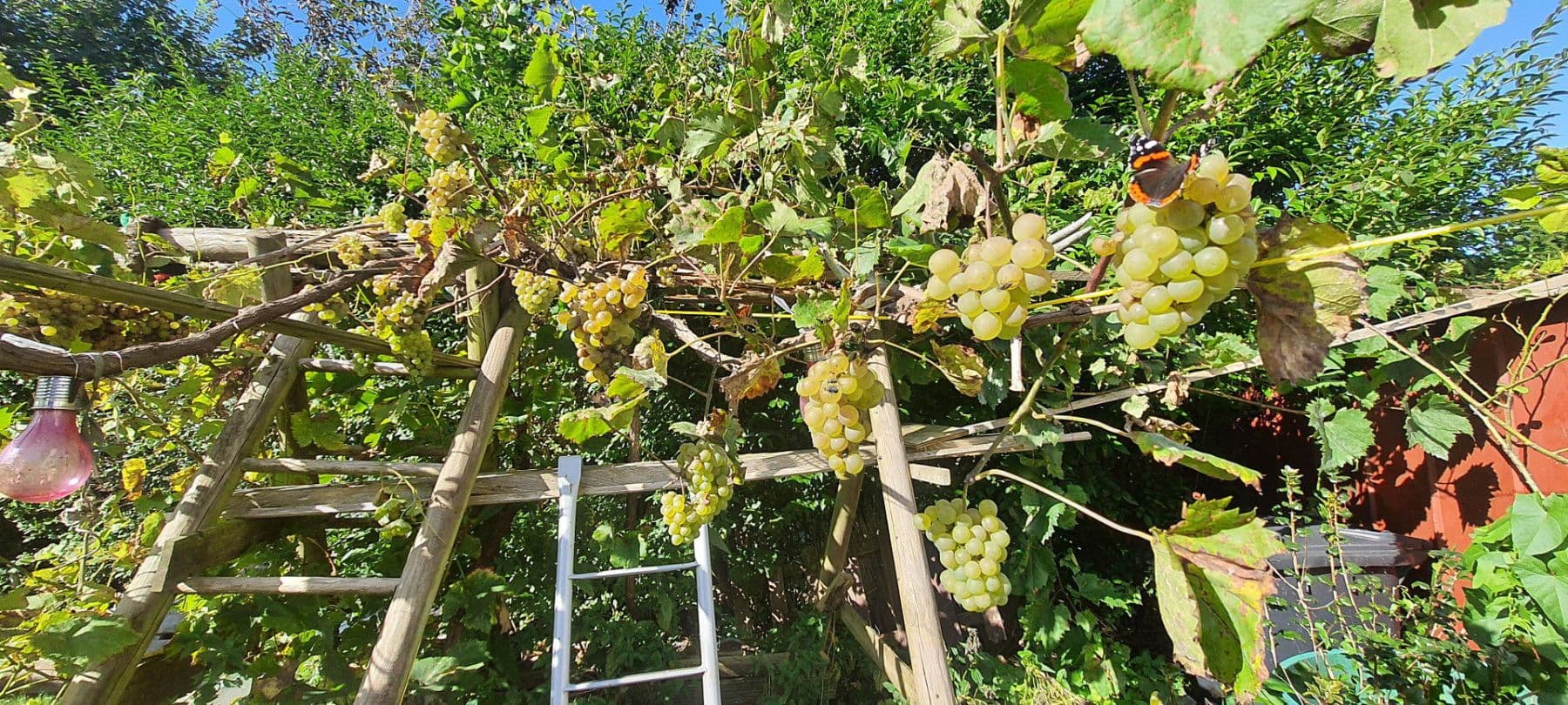 Prodej domu 140 m², pozemek 1.604 m², Wurster Nordseeküste, Dolní Sasko Prodej domu 140 m², pozemek 1.604 m², Wurster Nordseeküste, Dolní Sasko