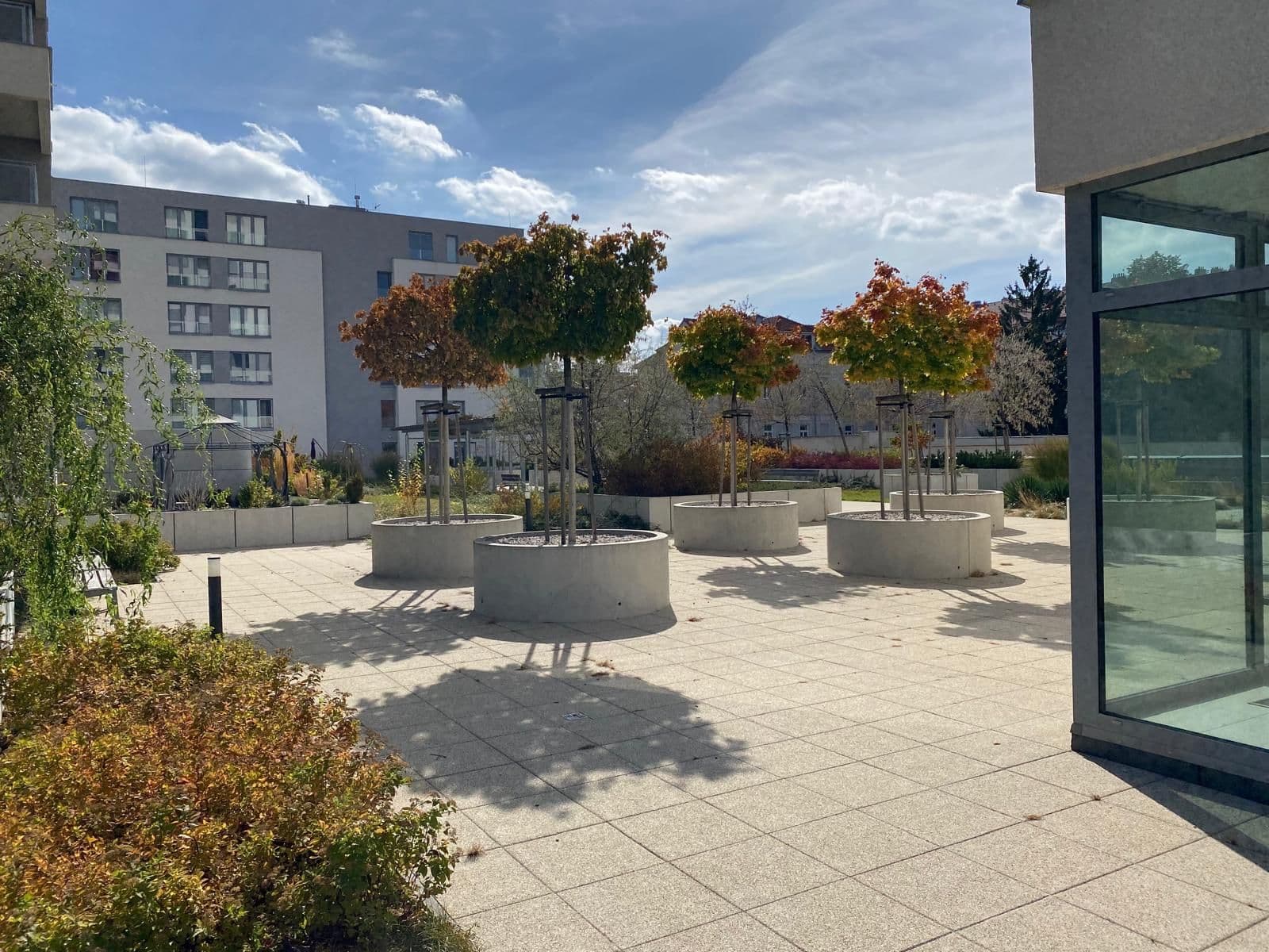 Pronájem bytu 1+kk 35 m², Stehlíkova, Plzeň, Plzeňský kraj Pronájem bytu 1+kk 35 m², Stehlíkova, Plzeň, Plzeňský kraj