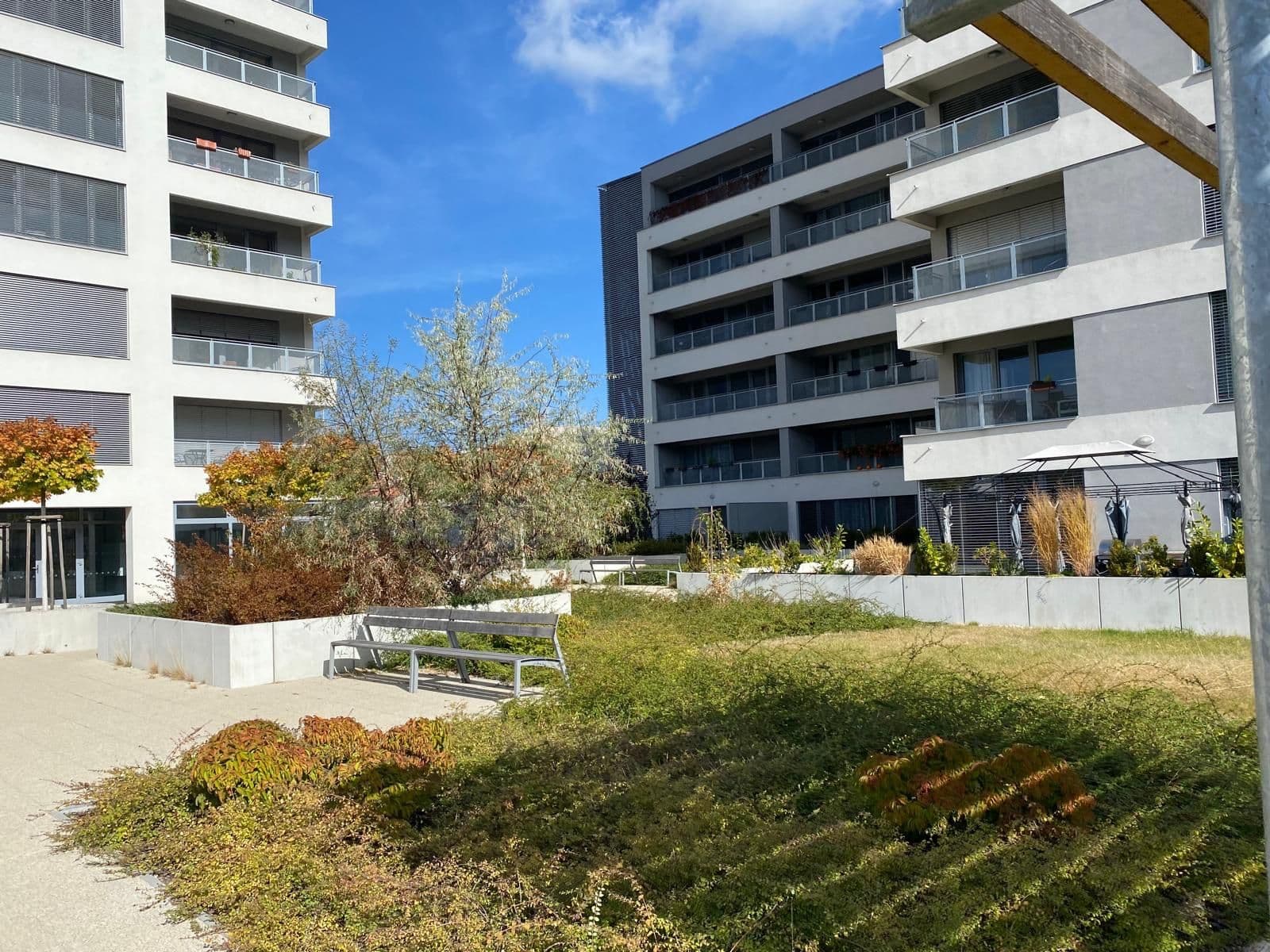 Pronájem bytu 1+kk 35 m², Stehlíkova, Plzeň, Plzeňský kraj Pronájem bytu 1+kk 35 m², Stehlíkova, Plzeň, Plzeňský kraj