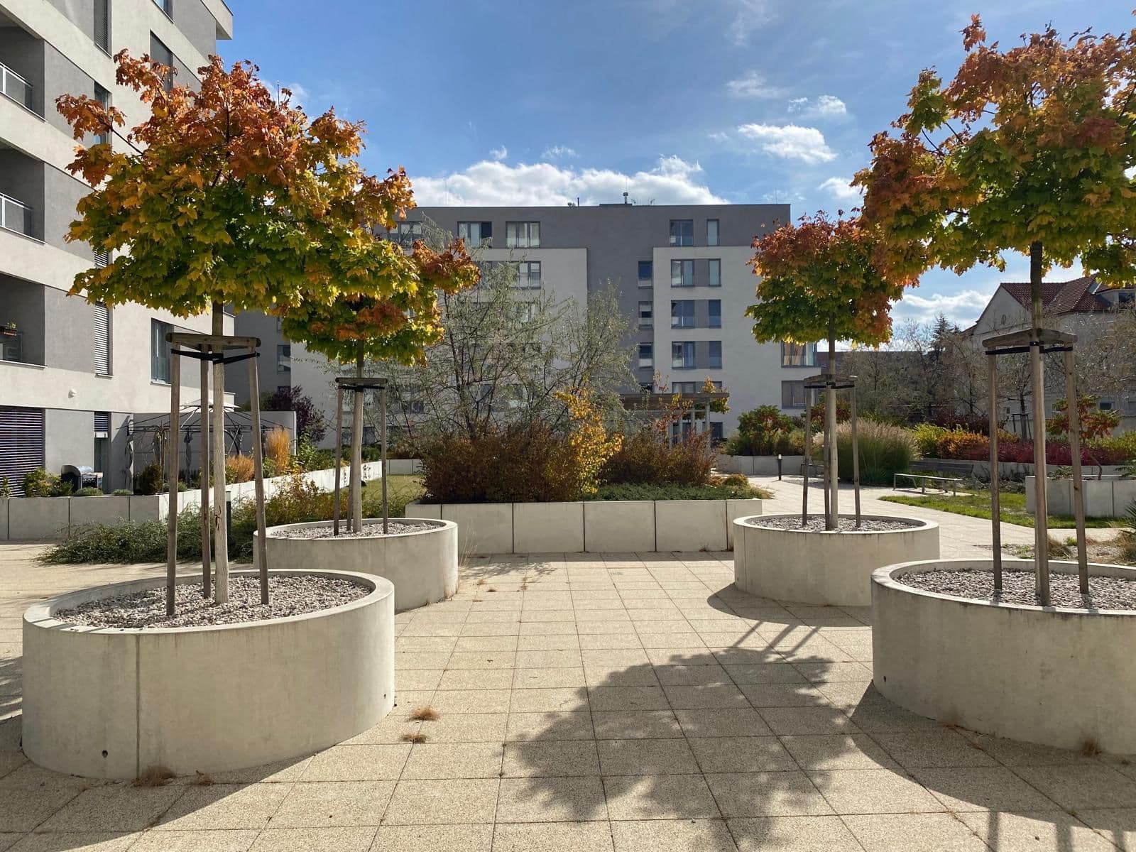 Pronájem bytu 1+kk 35 m², Stehlíkova, Plzeň, Plzeňský kraj Pronájem bytu 1+kk 35 m², Stehlíkova, Plzeň, Plzeňský kraj