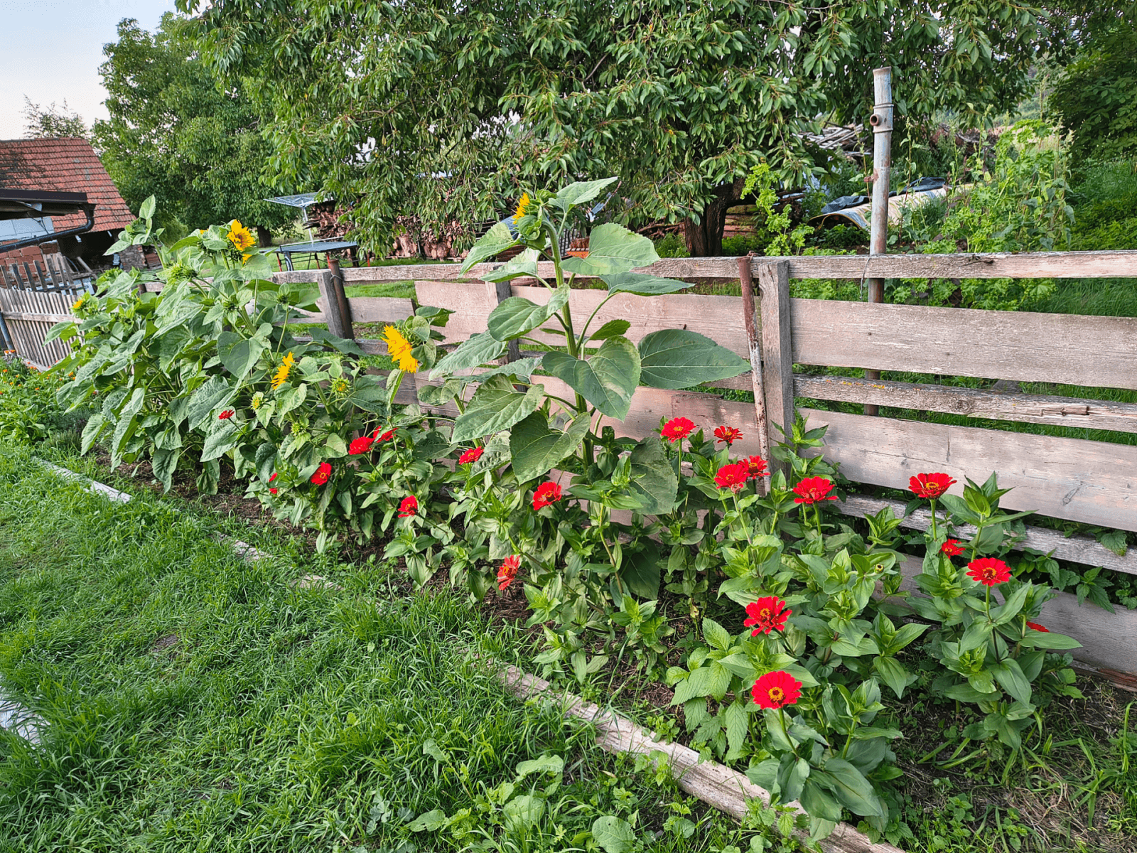 Prodej domu 258 m², pozemek 5.664 m², Chlístovice, Středočeský kraj Prodej domu 258 m², pozemek 5.664 m², Chlístovice, Středočeský kraj