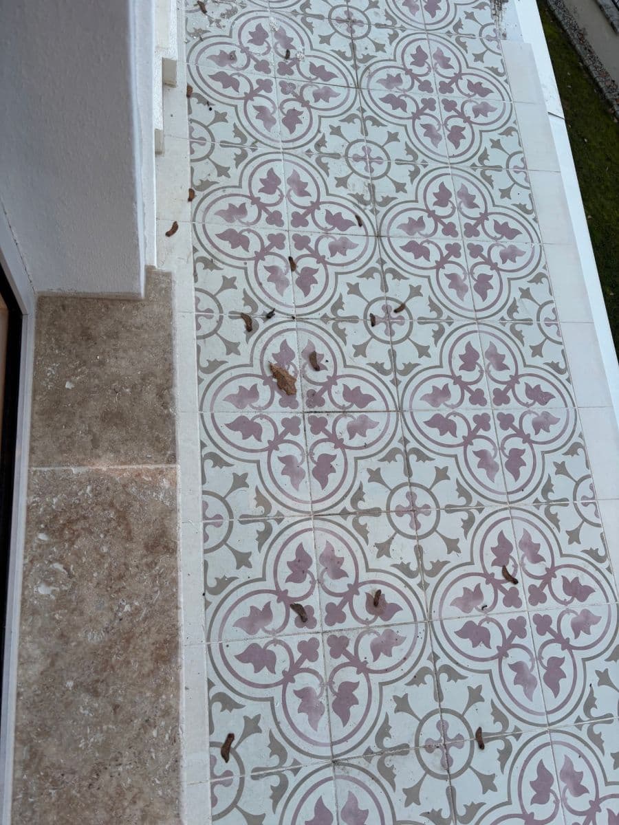 Prodej bytu 3+kk 100 m², Dobřanská, Chotěšov, Plzeňský kraj Prodej bytu 3+kk 100 m², Dobřanská, Chotěšov, Plzeňský kraj