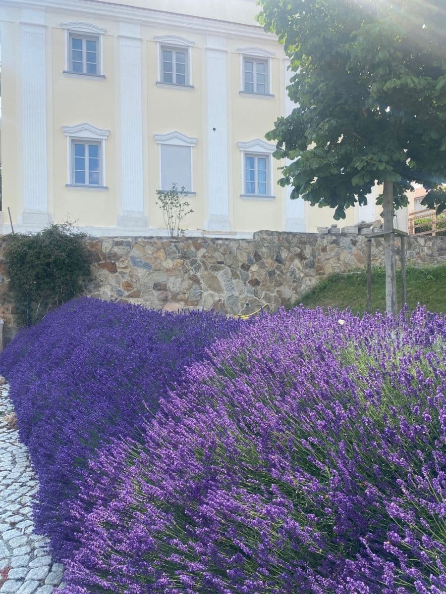 Prodej bytu 3+kk 100 m², Dobřanská, Chotěšov, Plzeňský kraj Prodej bytu 3+kk 100 m², Dobřanská, Chotěšov, Plzeňský kraj