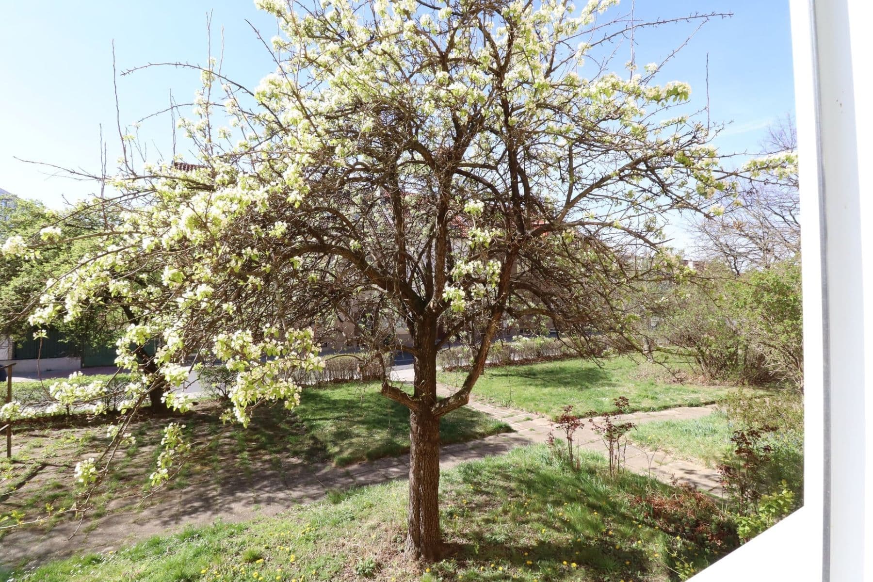 Pronájem bytu 2+1 52 m², Jabloňová, Praha, Praha Pronájem bytu 2+1 52 m², Jabloňová, Praha, Praha