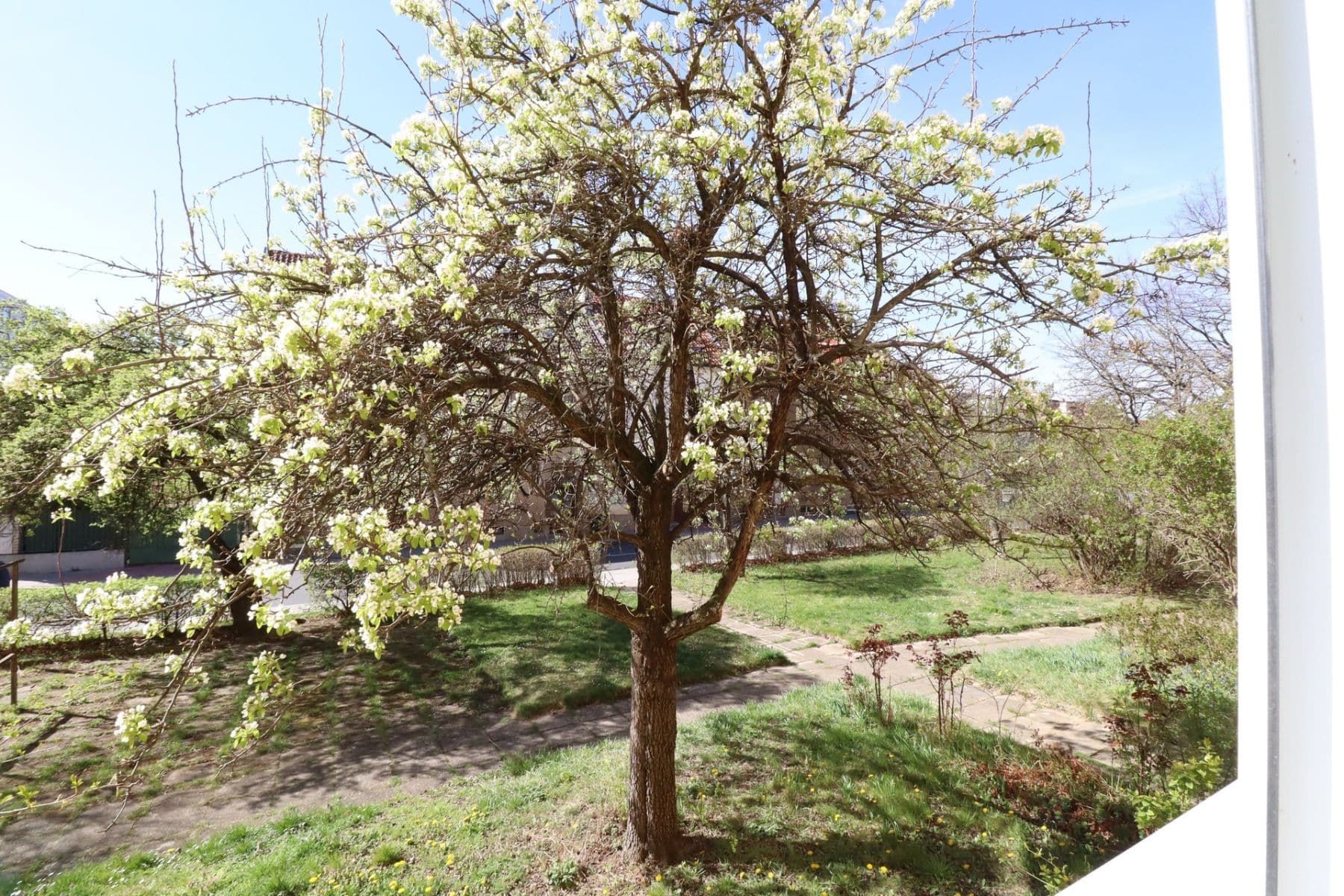 Pronájem bytu 2+1 52 m², Jabloňová, Praha, Praha Pronájem bytu 2+1 52 m², Jabloňová, Praha, Praha