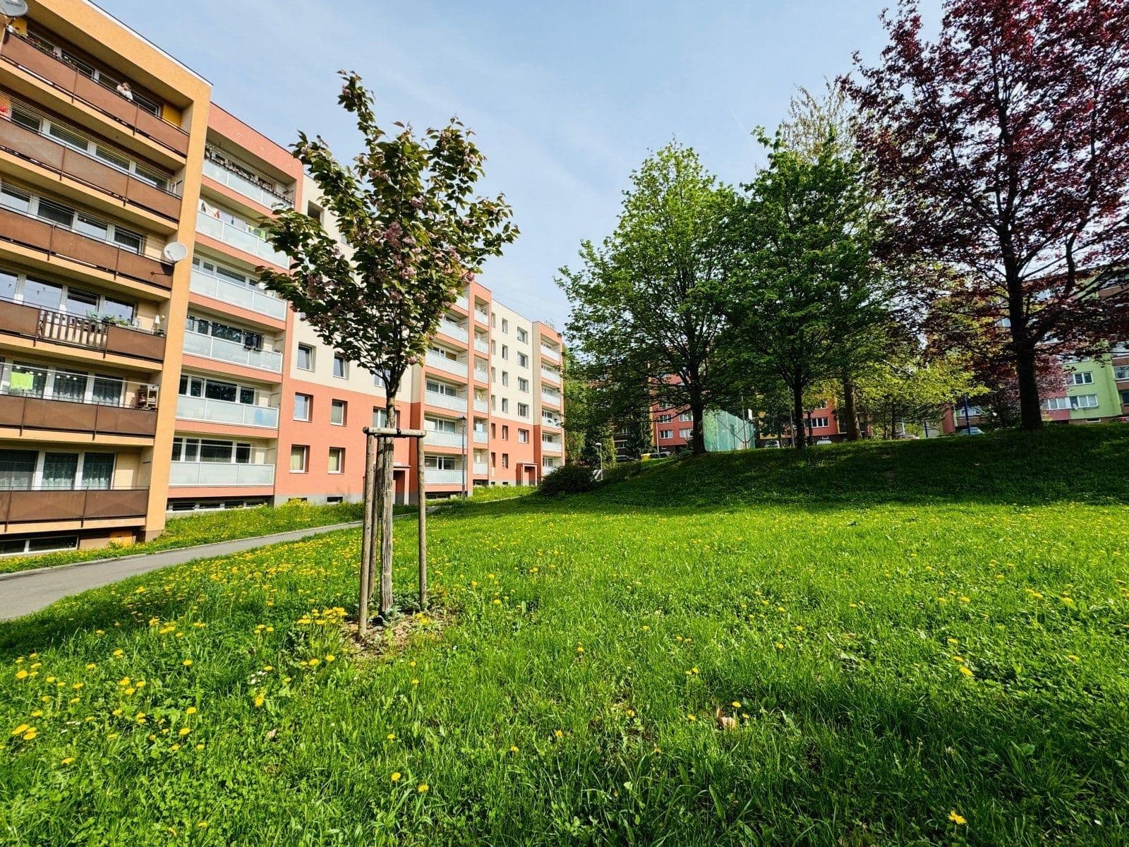 Pronájem bytu 2+1 50 m², Růžový pahorek, Frýdek-Místek, Moravskoslezský kraj Pronájem bytu 2+1 50 m², Růžový pahorek, Frýdek-Místek, Moravskoslezský kraj