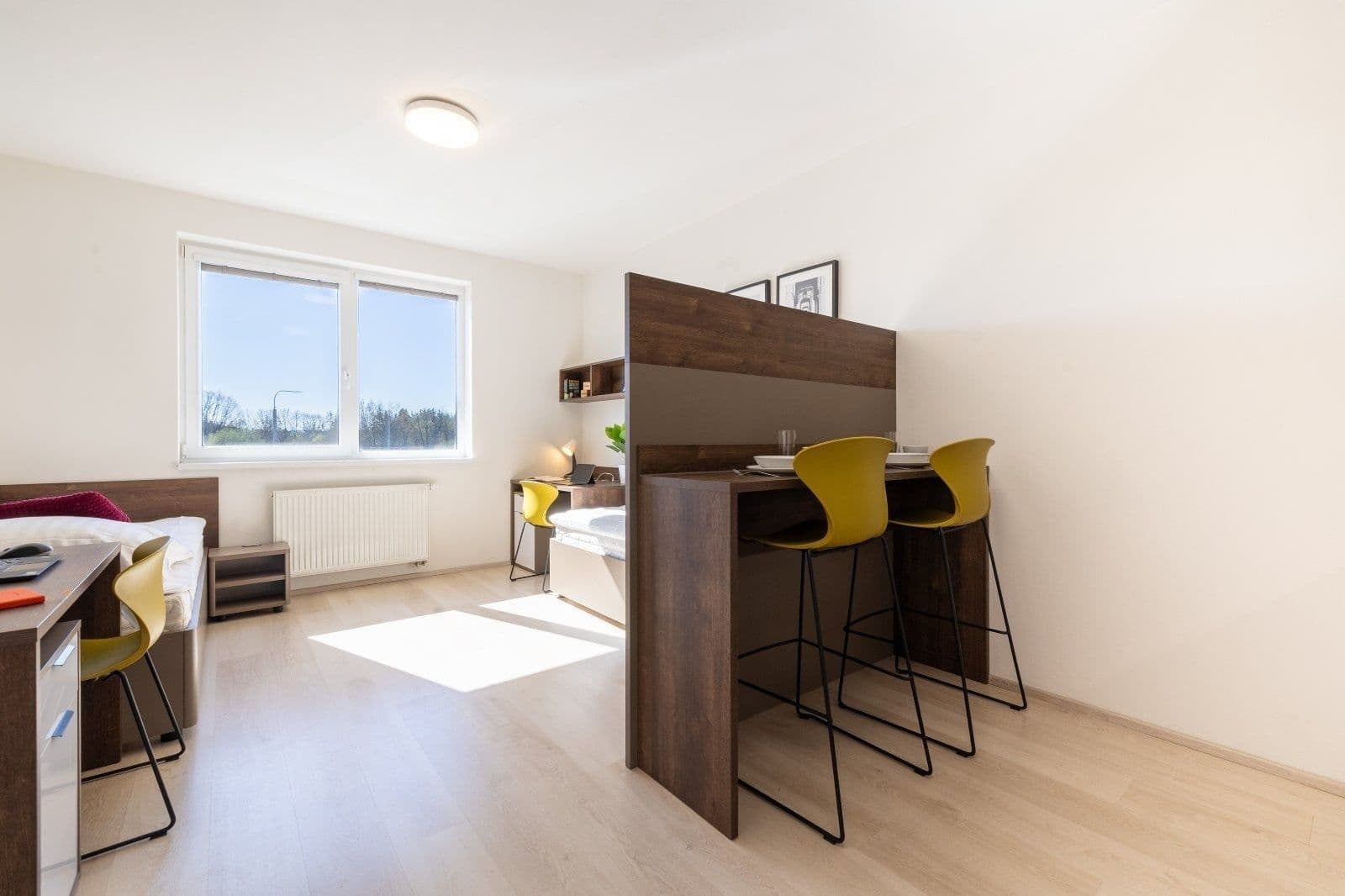Pronájem bytu 1+kk 27 m², Magisterská, Plzeň, Plzeňský kraj Pronájem bytu 1+kk 27 m², Magisterská, Plzeň, Plzeňský kraj