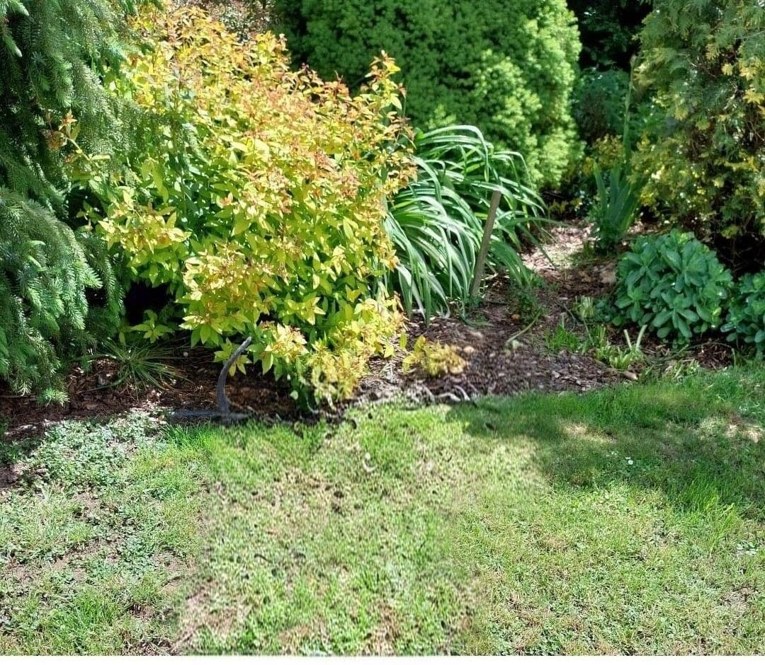 Prodej domu 139 m², pozemek 499 m², Soběslav, Jihočeský kraj Prodej domu 139 m², pozemek 499 m², Soběslav, Jihočeský kraj