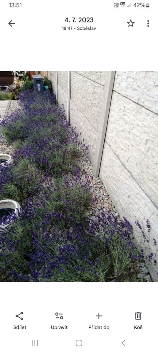 Prodej domu 139 m², pozemek 499 m², Soběslav, Jihočeský kraj Prodej domu 139 m², pozemek 499 m², Soběslav, Jihočeský kraj