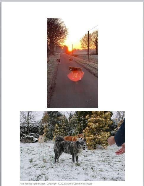 Prodej domu 301 m², pozemek 1.178 m², Ennigerloh, Severní Porýní-Vestfálsko Prodej domu 301 m², pozemek 1.178 m², Ennigerloh, Severní Porýní-Vestfálsko