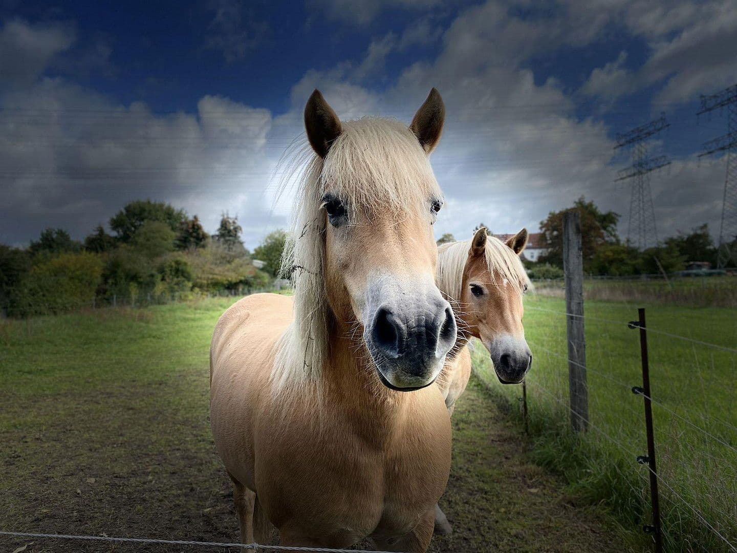 Pronájem domu 87 m², pozemek 200 m², Berlin, Berlín Pronájem domu 87 m², pozemek 200 m², Berlin, Berlín