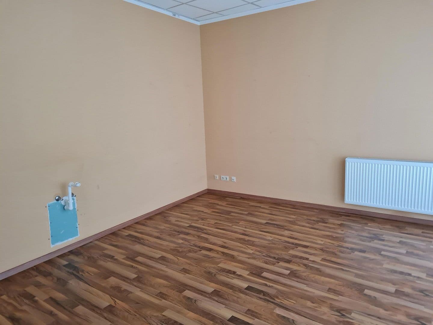 Pronájem kanceláře 73 m², Wurzen, Sasko Pronájem kanceláře 73 m², Wurzen, Sasko