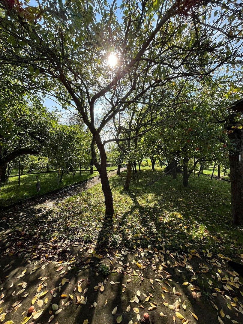 Prodej domu 119 m², pozemek 920 m², Kirchhain, Hessen Prodej domu 119 m², pozemek 920 m², Kirchhain, Hessen