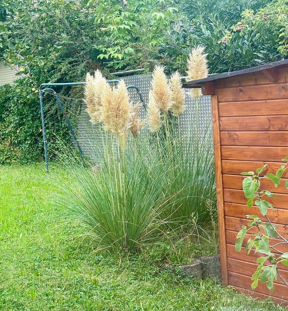 Prodej domu 142 m², pozemek 685 m², Hermann-Hesse-Straße 11, Linkenheim-Hochstetten, Bádensko-Württembersko Prodej domu 142 m², pozemek 685 m², Hermann-Hesse-Straße 11, Linkenheim-Hochstetten, Bádensko-Württembersko