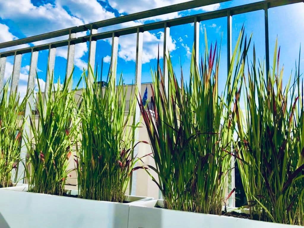 Pronájem bytu 2+1 58 m², Hamburg, Hamburg Pronájem bytu 2+1 58 m², Hamburg, Hamburg