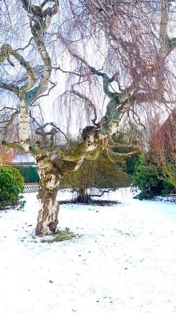 Prodej domu 140 m², pozemek 814 m², Bremerhaven, Bremen Prodej domu 140 m², pozemek 814 m², Bremerhaven, Bremen