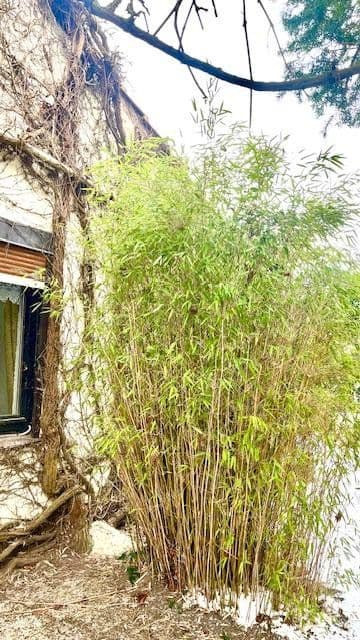 Prodej domu 140 m², pozemek 814 m², Bremerhaven, Bremen Prodej domu 140 m², pozemek 814 m², Bremerhaven, Bremen