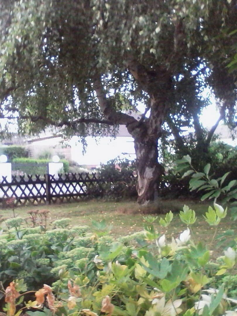 Prodej domu 140 m², pozemek 814 m², Bremerhaven, Bremen Prodej domu 140 m², pozemek 814 m², Bremerhaven, Bremen