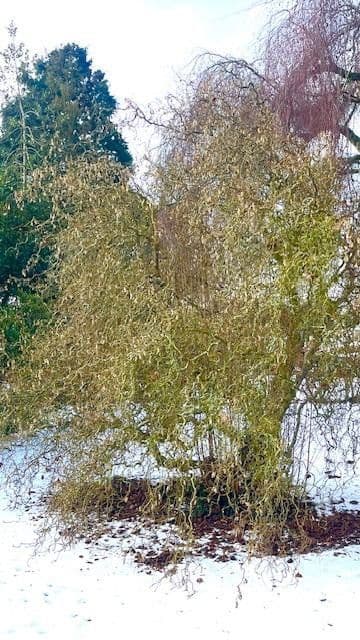 Prodej domu 140 m², pozemek 814 m², Bremerhaven, Bremen Prodej domu 140 m², pozemek 814 m², Bremerhaven, Bremen