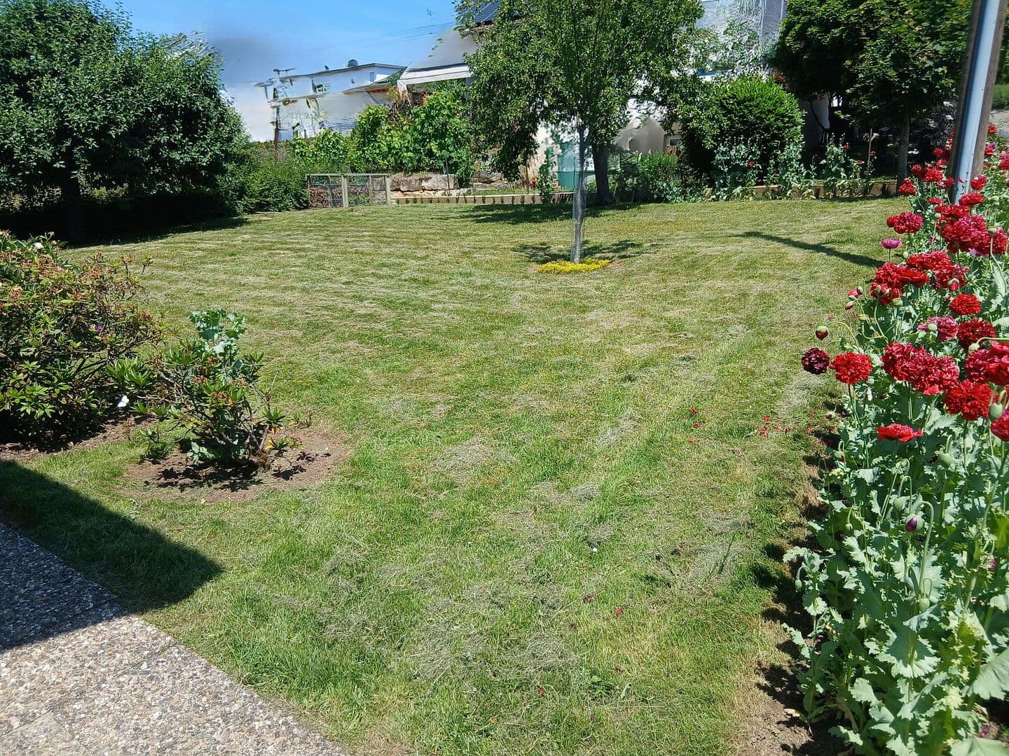 Pronájem bytu 3+kk 90 m², Frickenhausen, Bádensko-Württembersko Pronájem bytu 3+kk 90 m², Frickenhausen, Bádensko-Württembersko