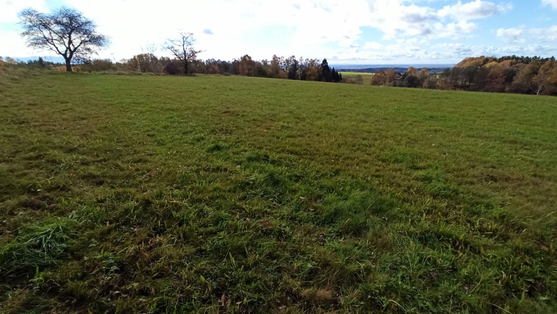 Prodej pozemku 29.562 m², Mezilesí, Královéhradecký kraj Prodej pozemku 29.562 m², Mezilesí, Královéhradecký kraj