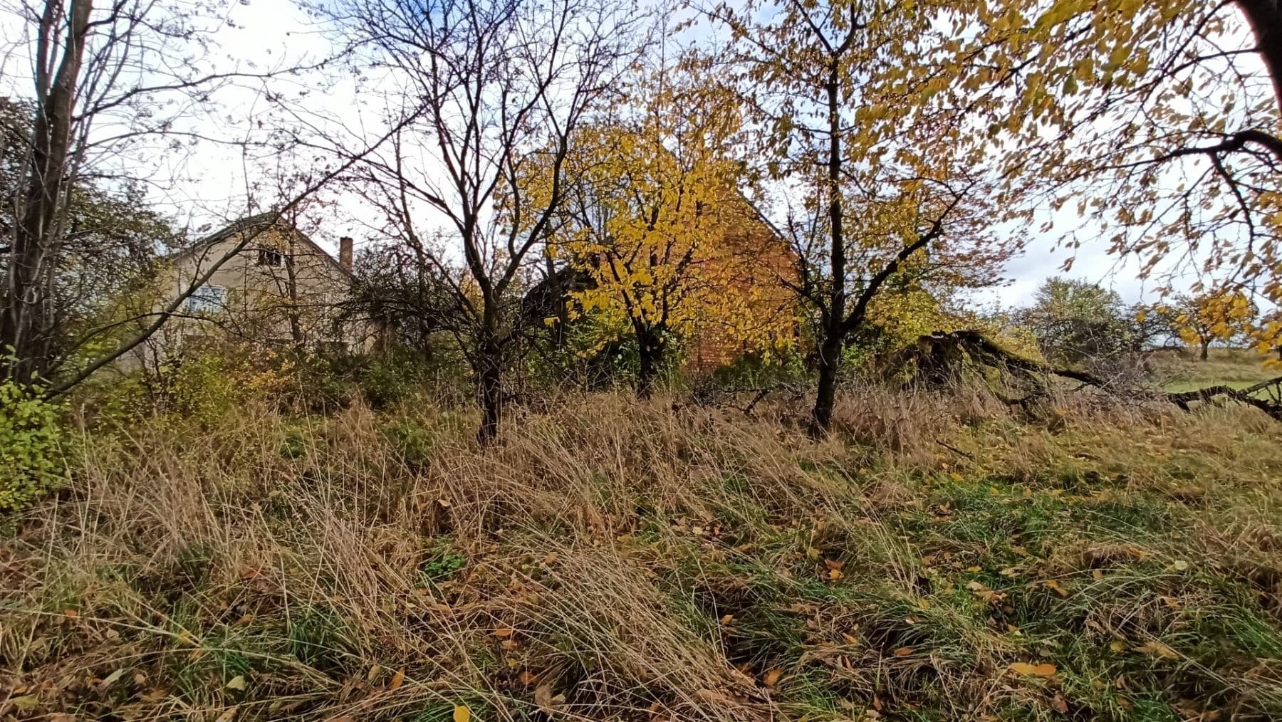 Prodej pozemku 29.562 m², Mezilesí, Královéhradecký kraj Prodej pozemku 29.562 m², Mezilesí, Královéhradecký kraj