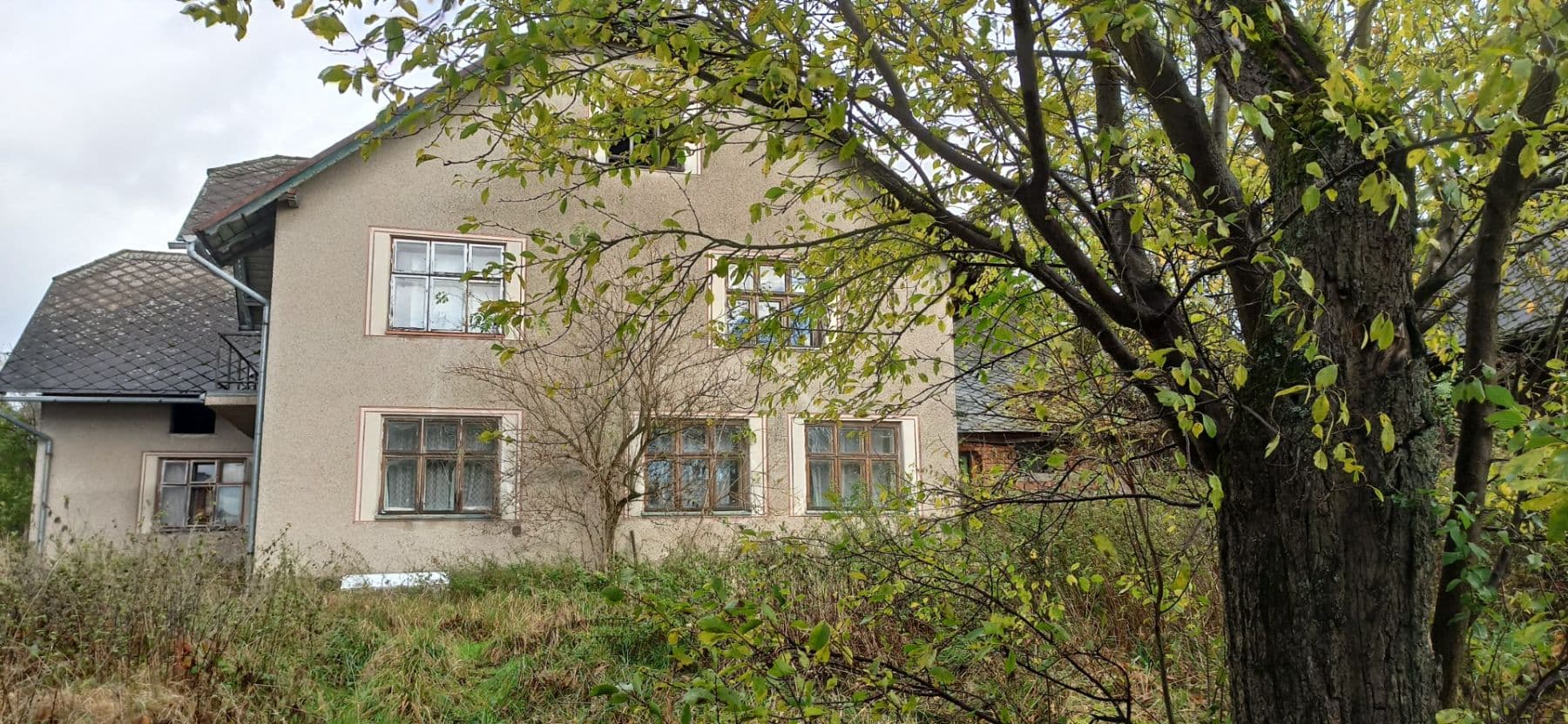 Prodej pozemku 29.562 m², Mezilesí, Královéhradecký kraj Prodej pozemku 29.562 m², Mezilesí, Královéhradecký kraj