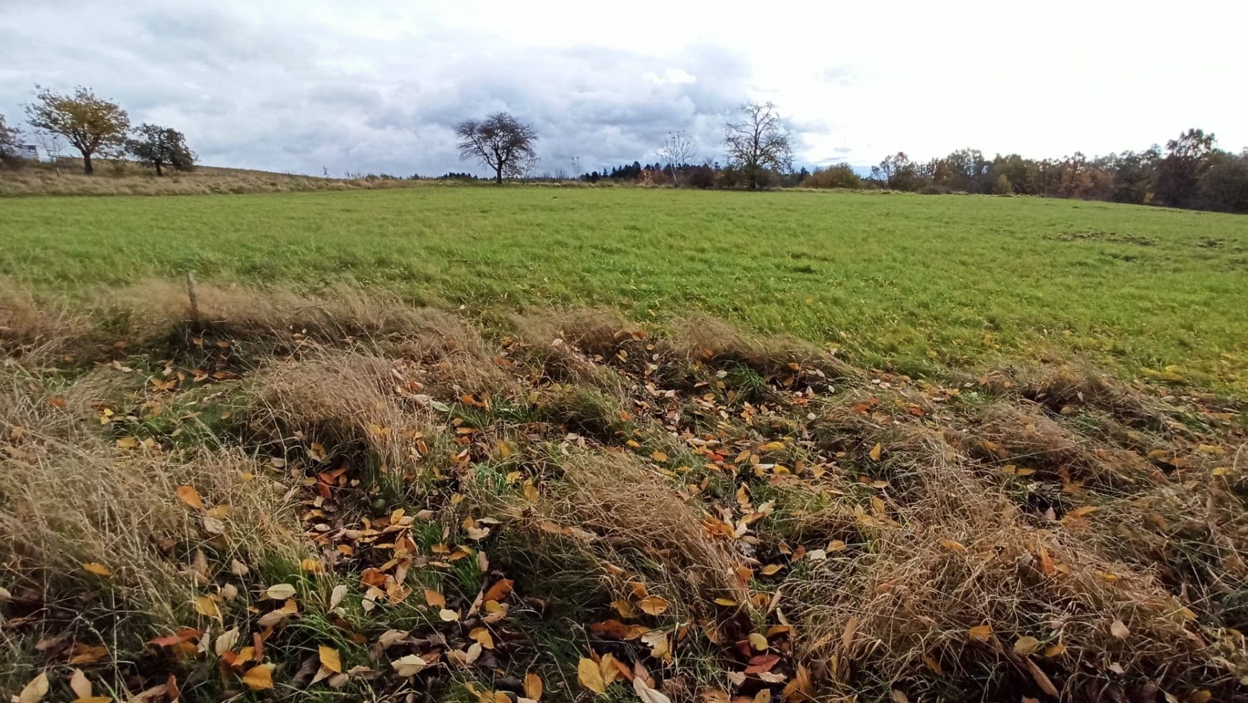 Prodej pozemku 29.562 m², Mezilesí, Královéhradecký kraj Prodej pozemku 29.562 m², Mezilesí, Královéhradecký kraj