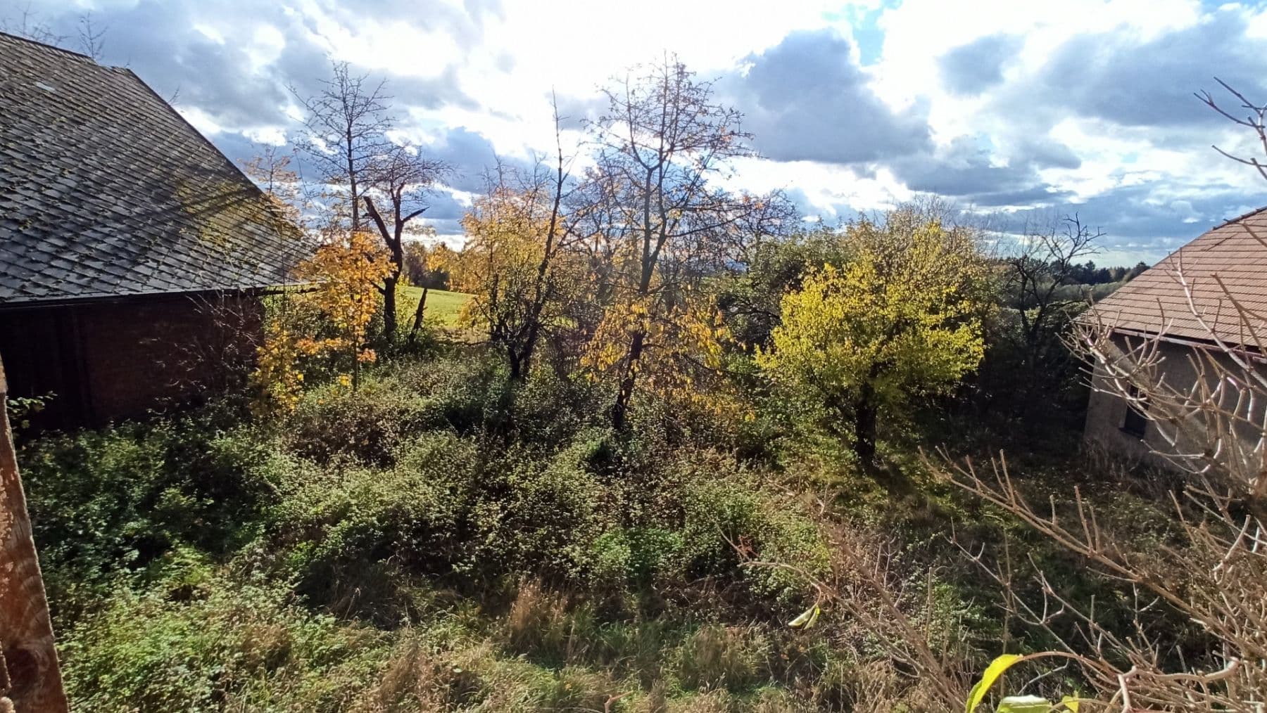 Prodej pozemku 29.562 m², Mezilesí, Královéhradecký kraj Prodej pozemku 29.562 m², Mezilesí, Královéhradecký kraj