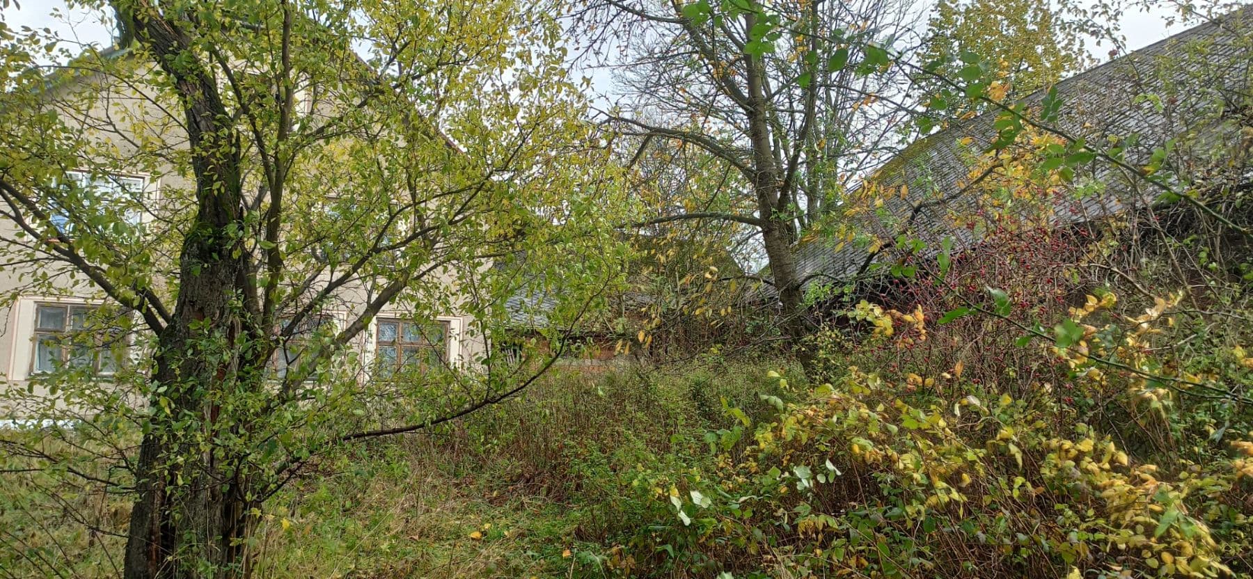 Prodej pozemku 29.562 m², Mezilesí, Královéhradecký kraj Prodej pozemku 29.562 m², Mezilesí, Královéhradecký kraj