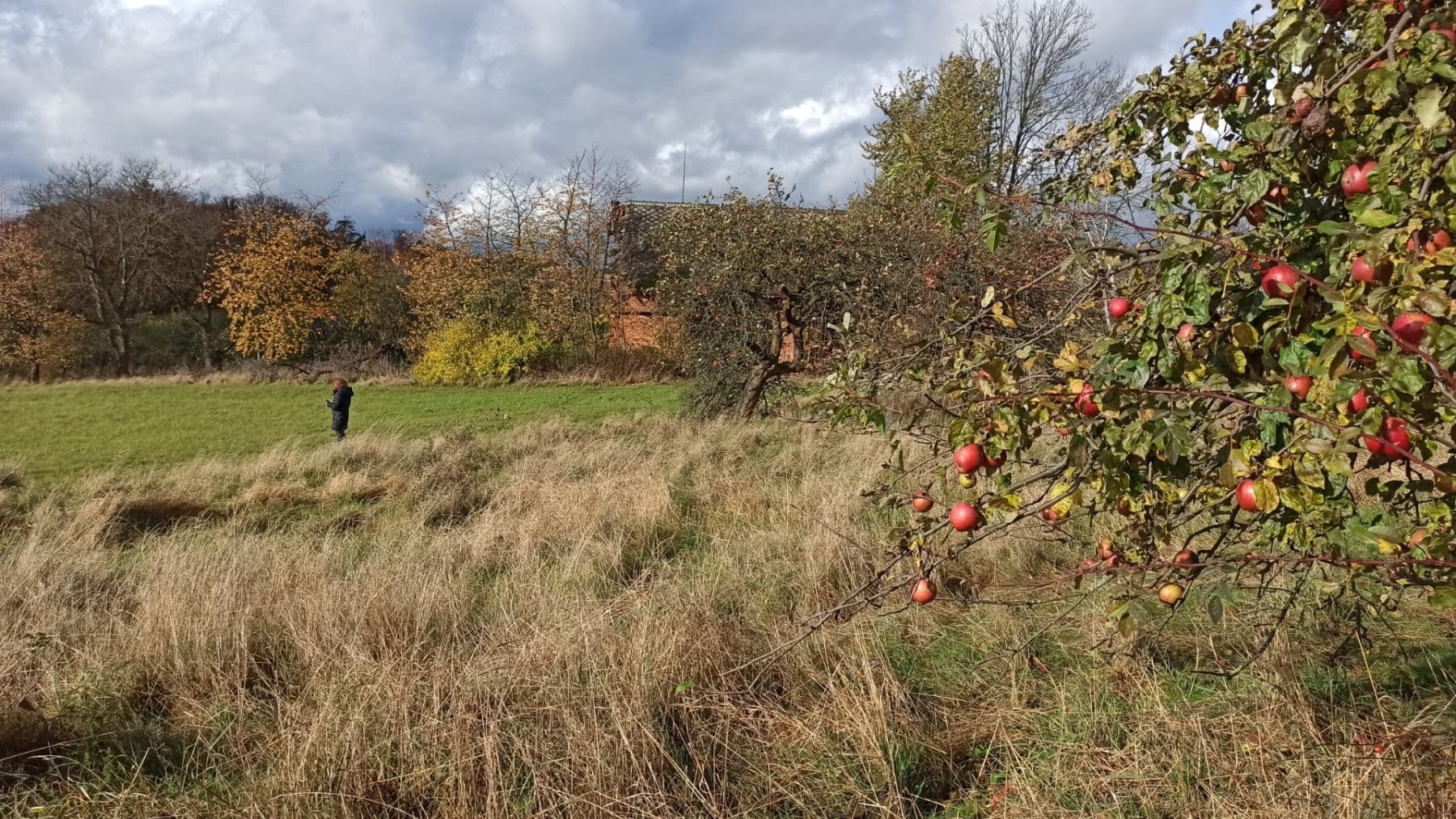 Prodej pozemku 29.562 m², Mezilesí, Královéhradecký kraj Prodej pozemku 29.562 m², Mezilesí, Královéhradecký kraj