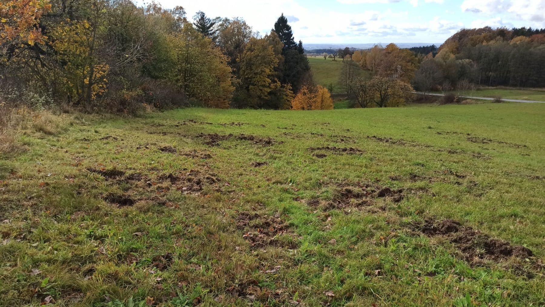 Prodej pozemku 29.562 m², Mezilesí, Královéhradecký kraj Prodej pozemku 29.562 m², Mezilesí, Královéhradecký kraj