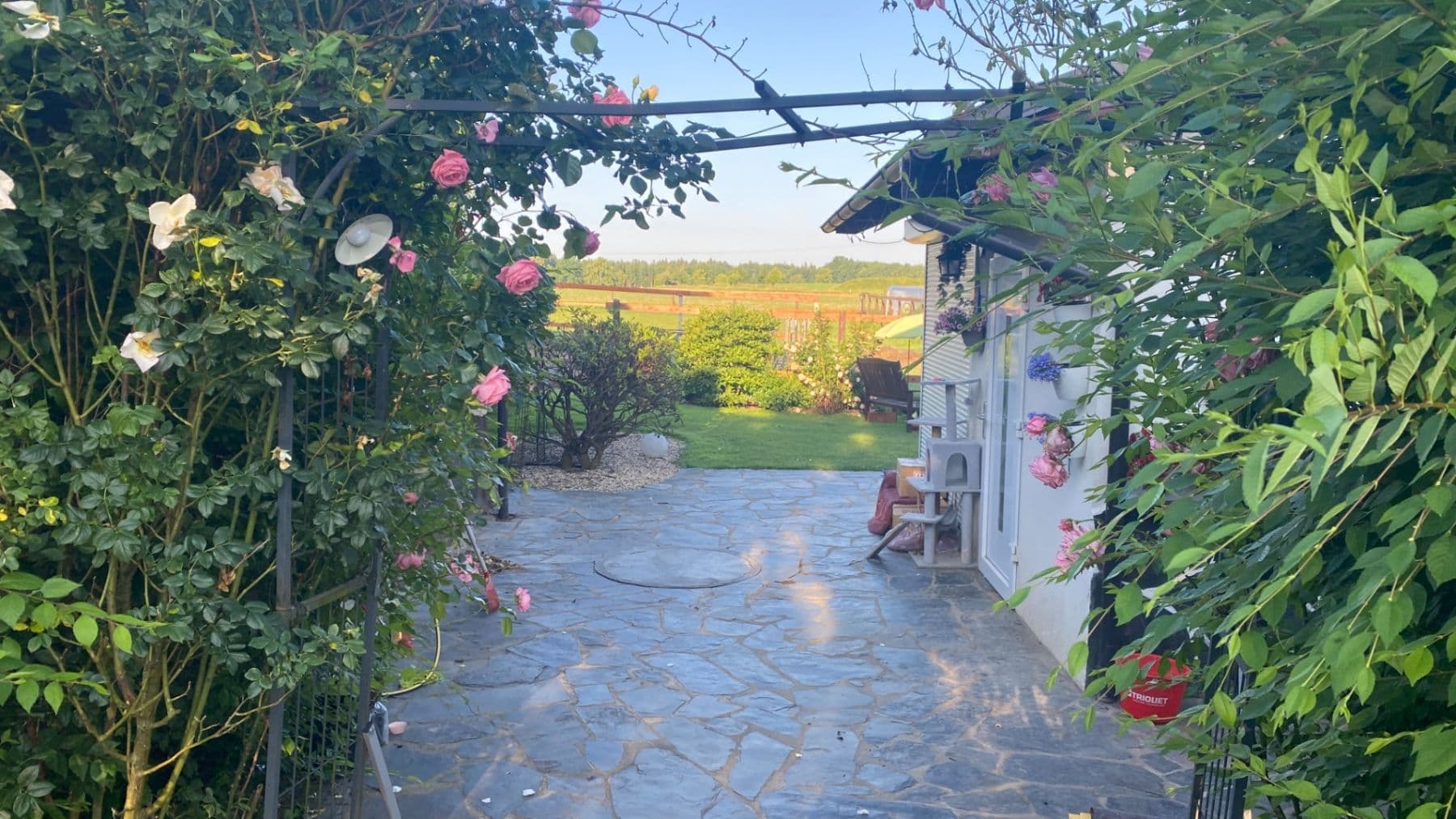 Prodej domu 1.577 m², pozemek 27.215 m², Pluhův Žďár, Jihočeský kraj Prodej domu 1.577 m², pozemek 27.215 m², Pluhův Žďár, Jihočeský kraj