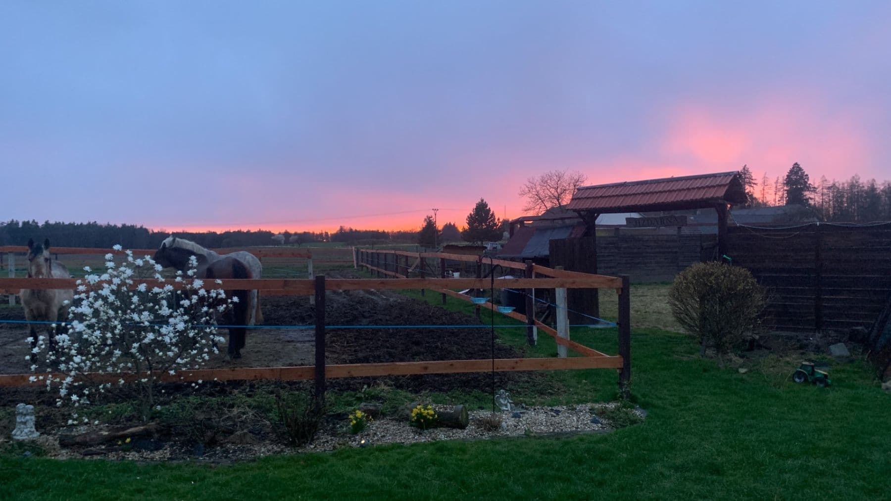 Prodej domu 1.577 m², pozemek 27.215 m², Pluhův Žďár, Jihočeský kraj Prodej domu 1.577 m², pozemek 27.215 m², Pluhův Žďár, Jihočeský kraj