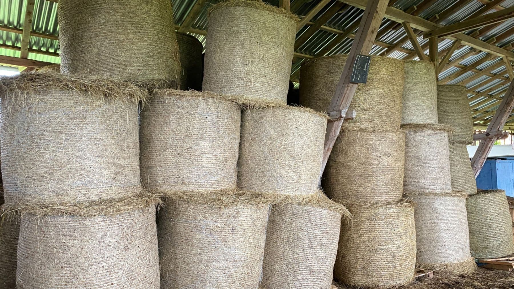 Prodej domu 1.577 m², pozemek 27.215 m², Pluhův Žďár, Jihočeský kraj Prodej domu 1.577 m², pozemek 27.215 m², Pluhův Žďár, Jihočeský kraj