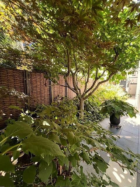 Prodej bytu 4+1 114 m², Frankfurt, Hessen Prodej bytu 4+1 114 m², Frankfurt, Hessen