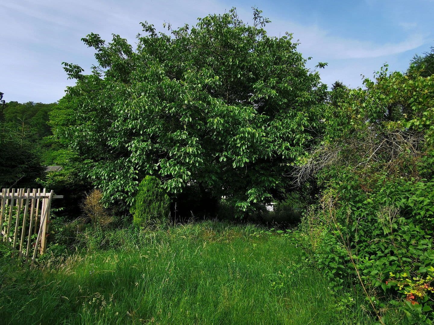 Prodej domu 220 m², pozemek 1.038 m², Blieskastel, Země Sársko Prodej domu 220 m², pozemek 1.038 m², Blieskastel, Země Sársko